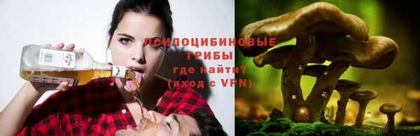 а пвп мука Арсеньев