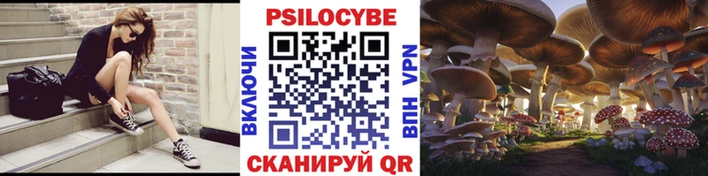Псилоцибиновые грибы прущие грибы  ссылка на мегу ONION  Шенкурск 