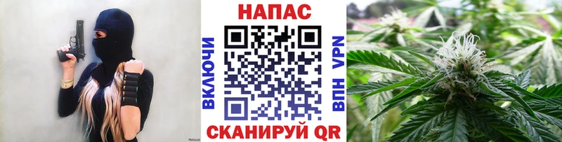 blacksprut сайт  хочу наркоту  Шенкурск  Шишки марихуана индика 